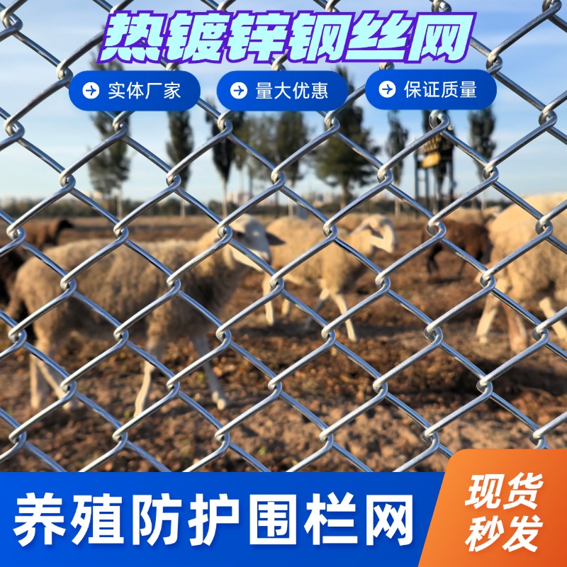 1.8加粗铁丝网户外围栏防护网热镀锌勾花网养殖钢丝网果园护栏网