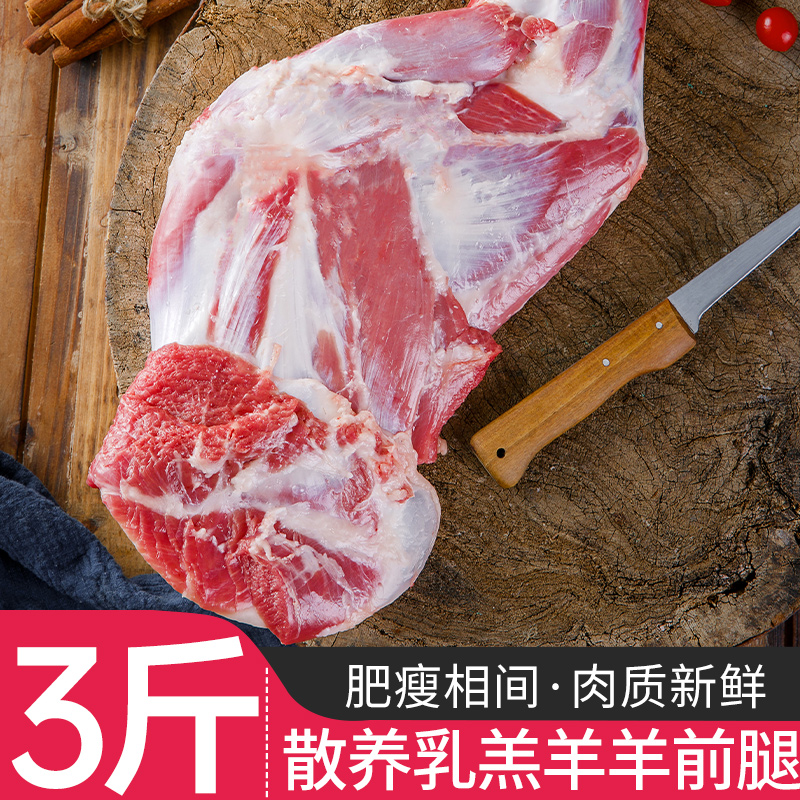乳羔羊羊前腿3斤新鲜羊肉羊腿烤羊腿生鲜冷冻家庭烧烤食材1