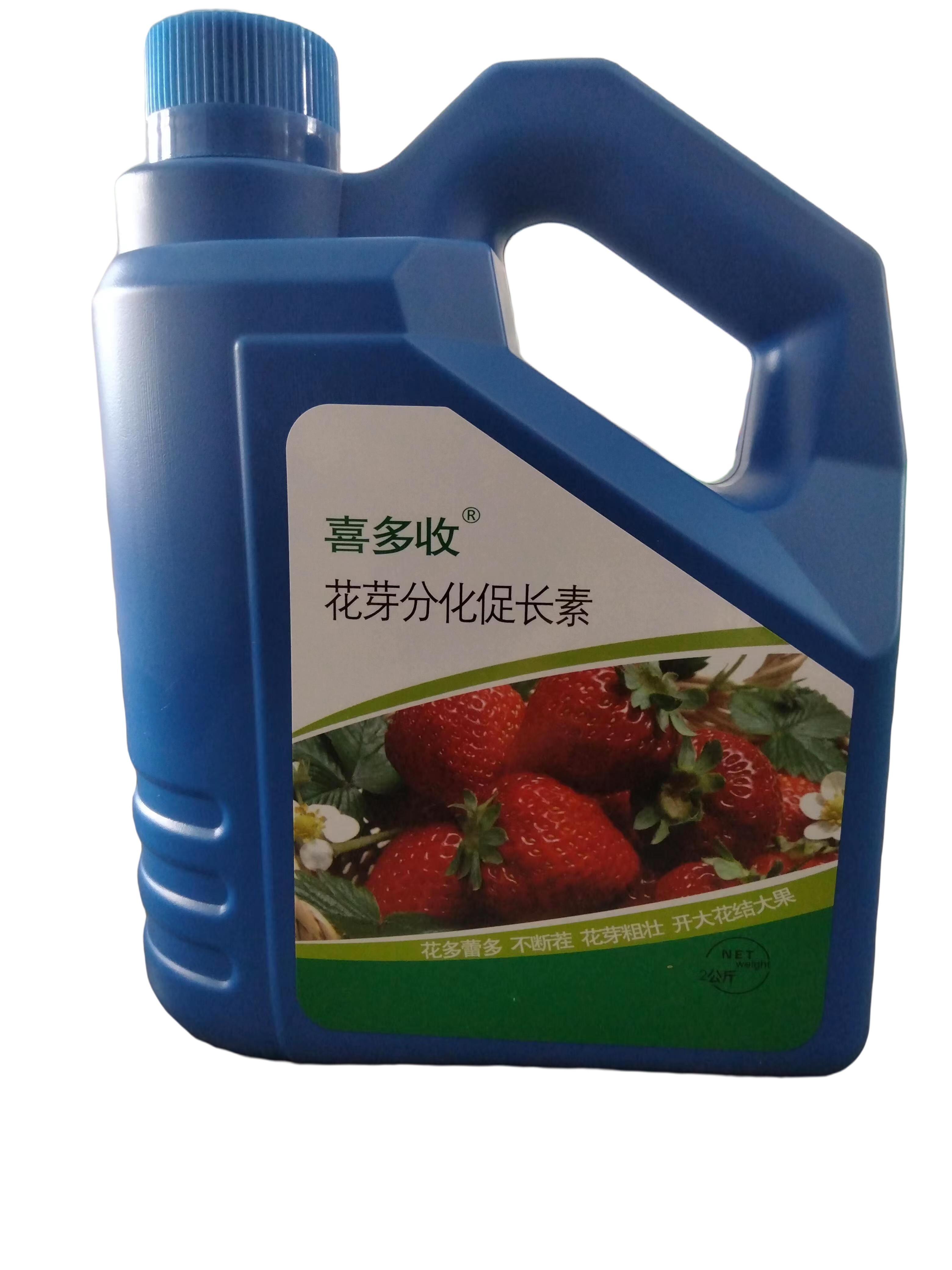  喜多收 草莓使用 花多蕾朵不断茬开花大开花前使用更好花枝粗壮