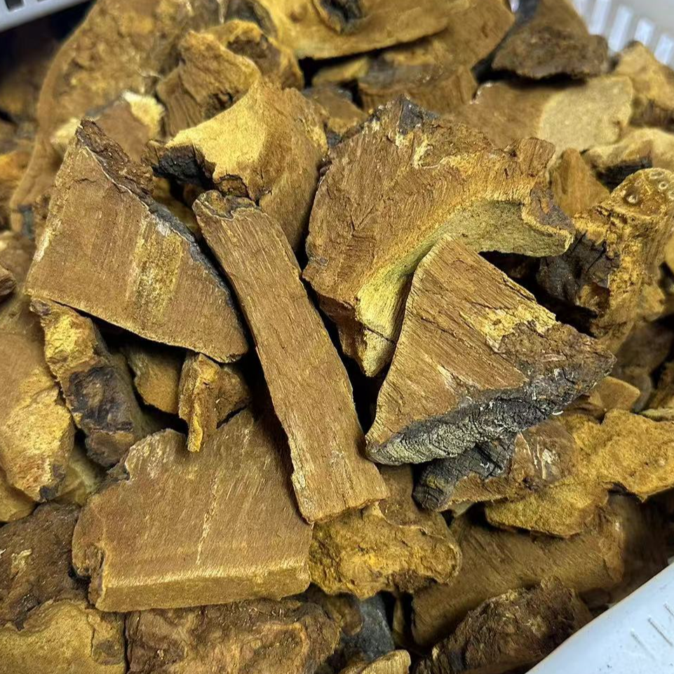 【松针层孔菌】选出来的黄肉松针整个片 一斤 500克