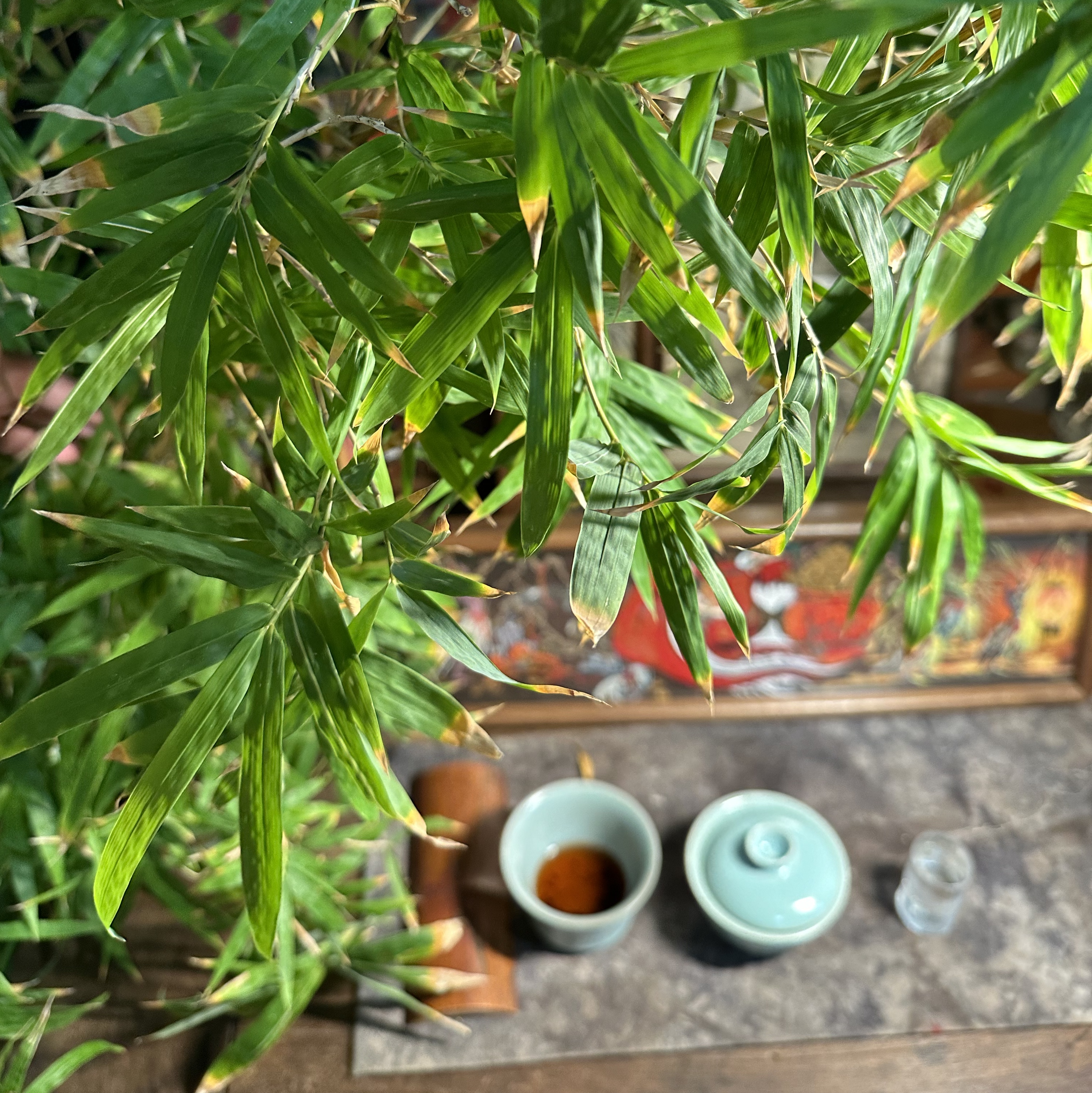 树枝框装饰画文创装饰画产品定价链接