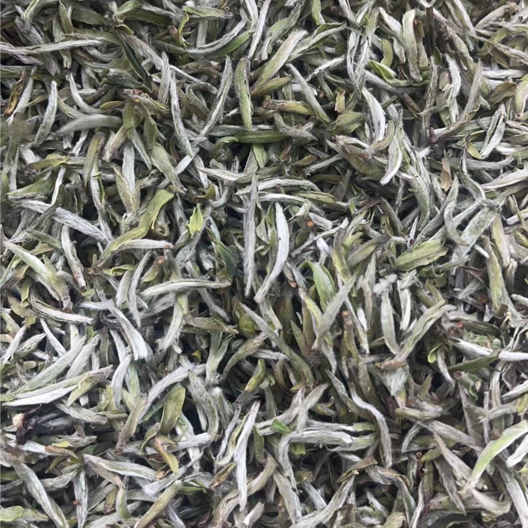 【康潮一品】福鼎白茶 2022年荒野白毫银针 散茶 白茶