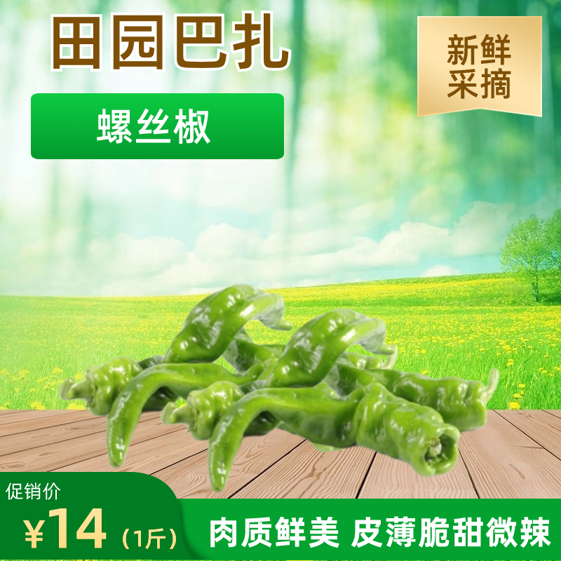 乌市包邮新鲜现采螺丝椒高寒高原菜无化学农药无人工添加剂1斤