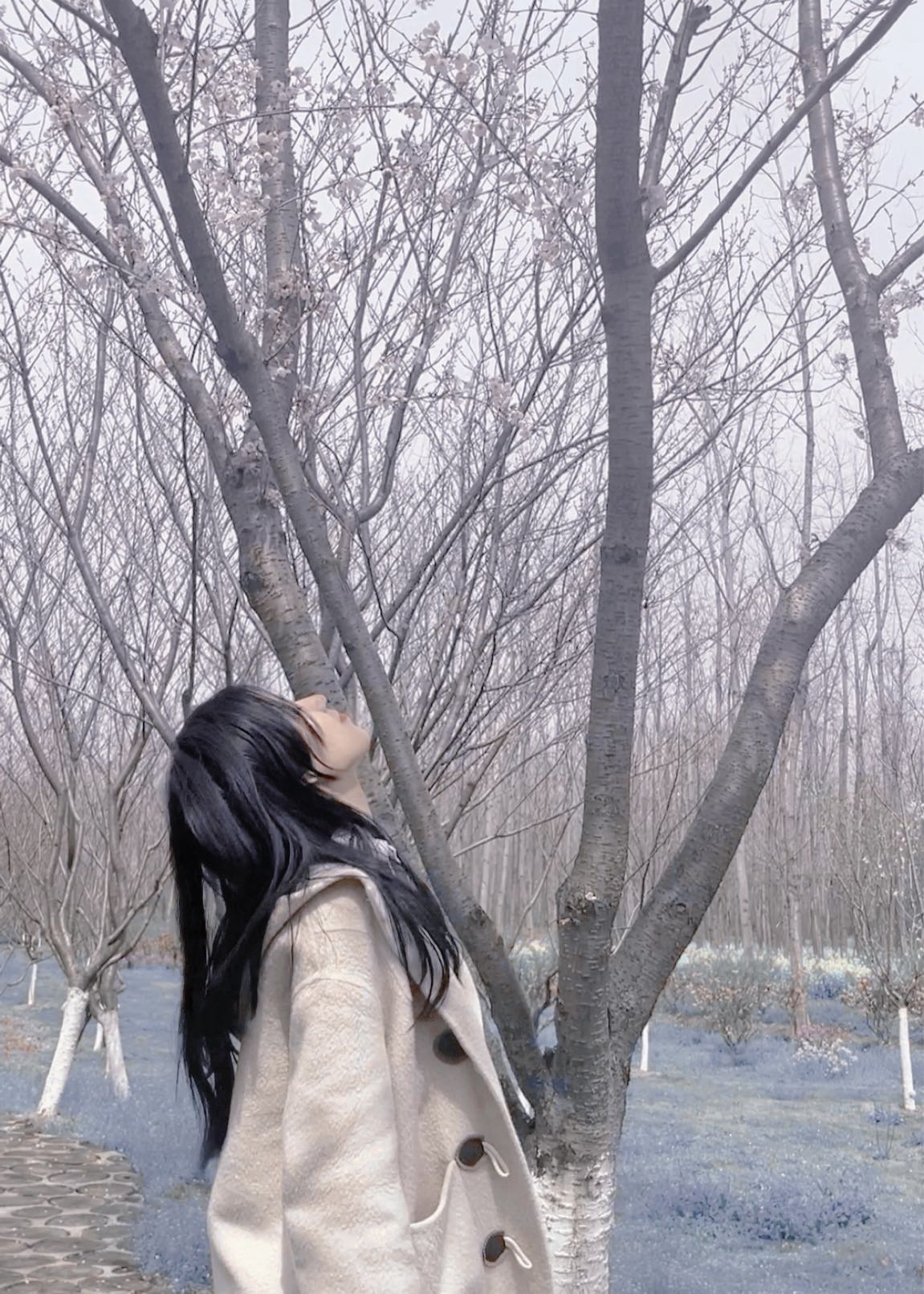 春秋宽松休闲百搭韩版女装样衣