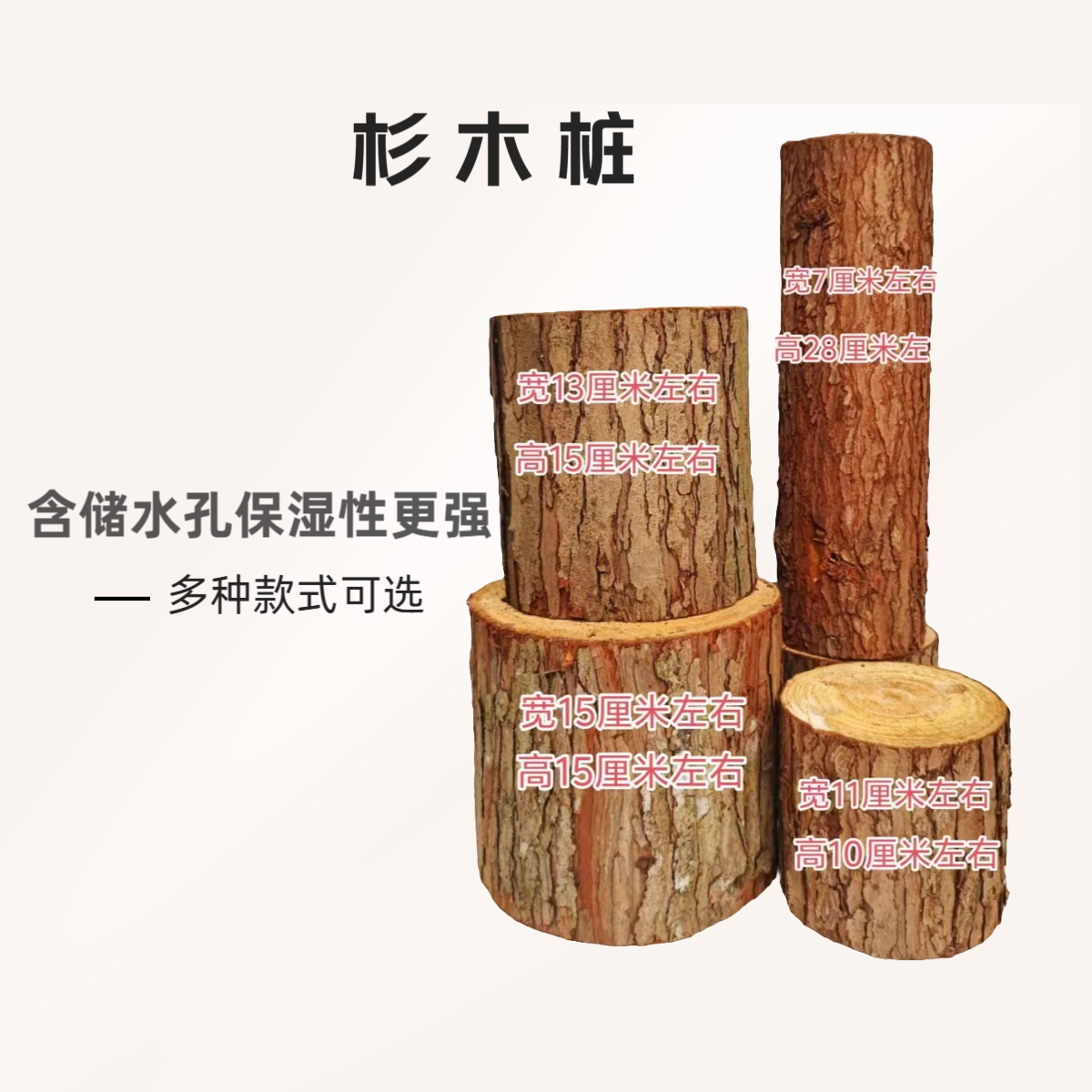 杉木桩（石斛种植桩，花卉摆件，含储水孔保湿性更强）