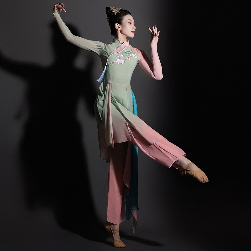古典舞演出服新款女子团扇群舞表演服夏季淡妆浓抹总相宜舞蹈服装