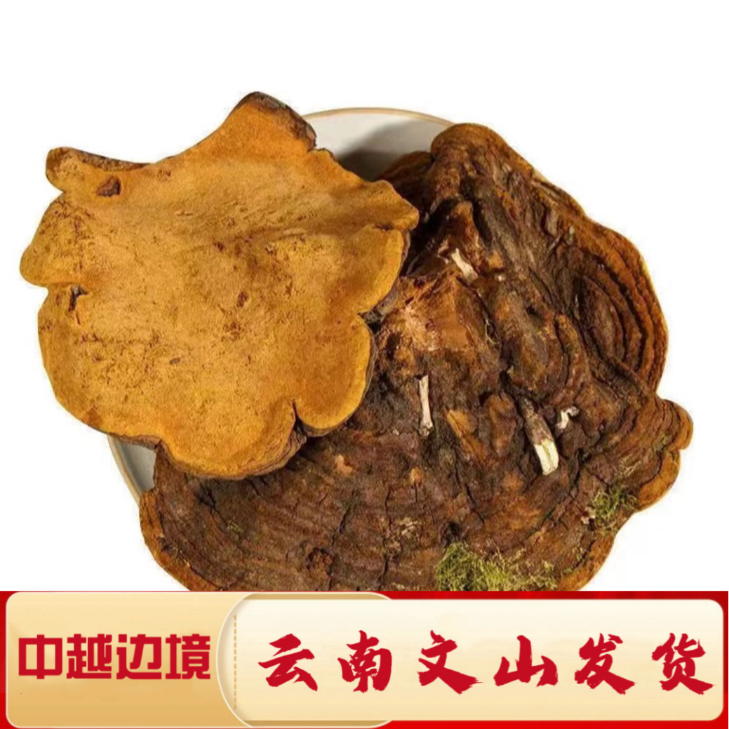 一村一品山野好货【精选-桑黄】