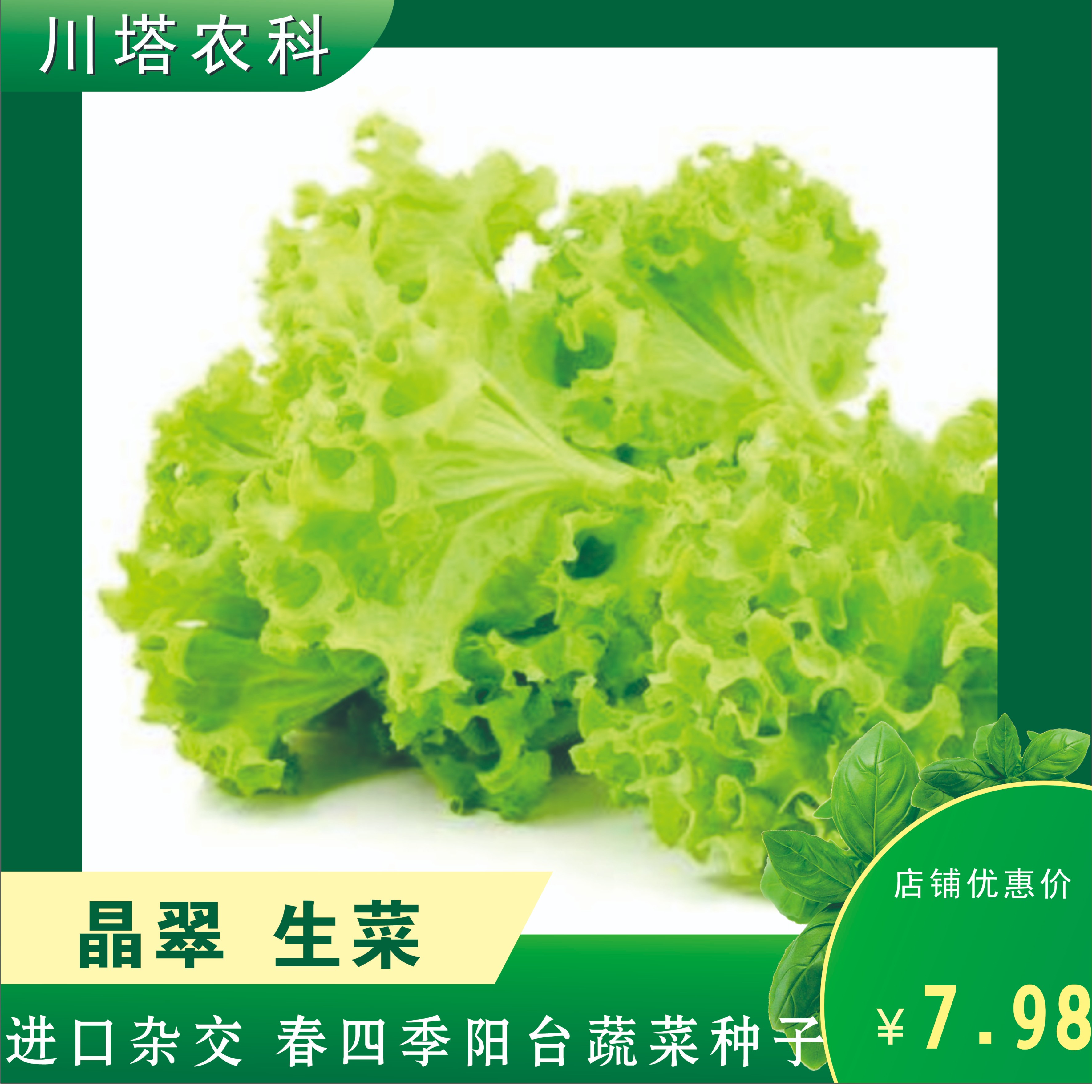 生菜种子晶翠生菜进口杂交抗病高产种植种菜四季阳台蔬菜辣椒种孑