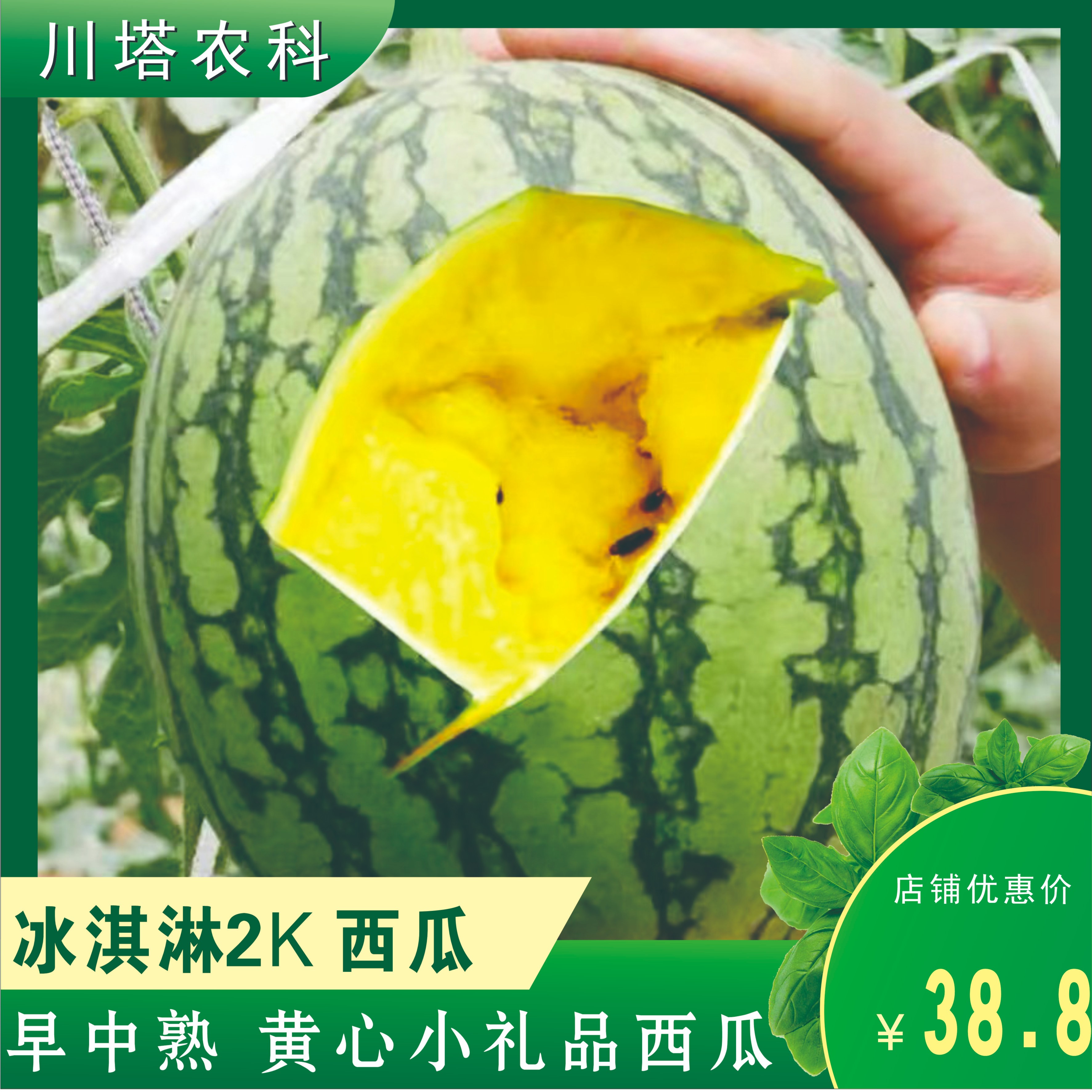 川塔冰淇淋2k西瓜种子 单果2kg 黄瓤脆甜 冰镇后有冰淇淋口感 
