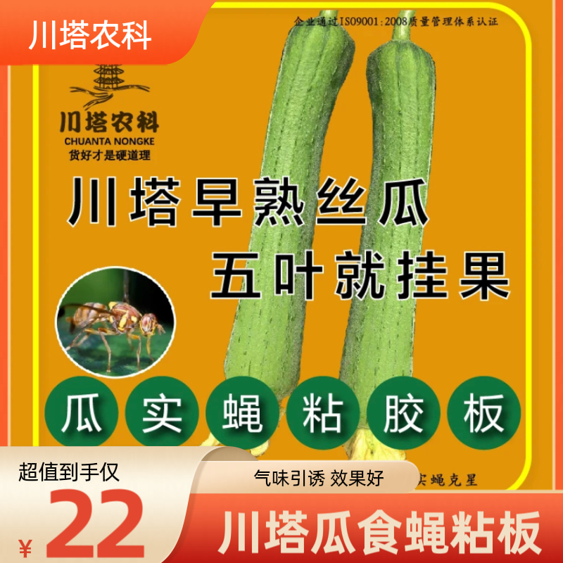 川塔瓜食蝇克星粘胶板 独特科技 性诱吸引 牢固粘胶 绿色除虫优质