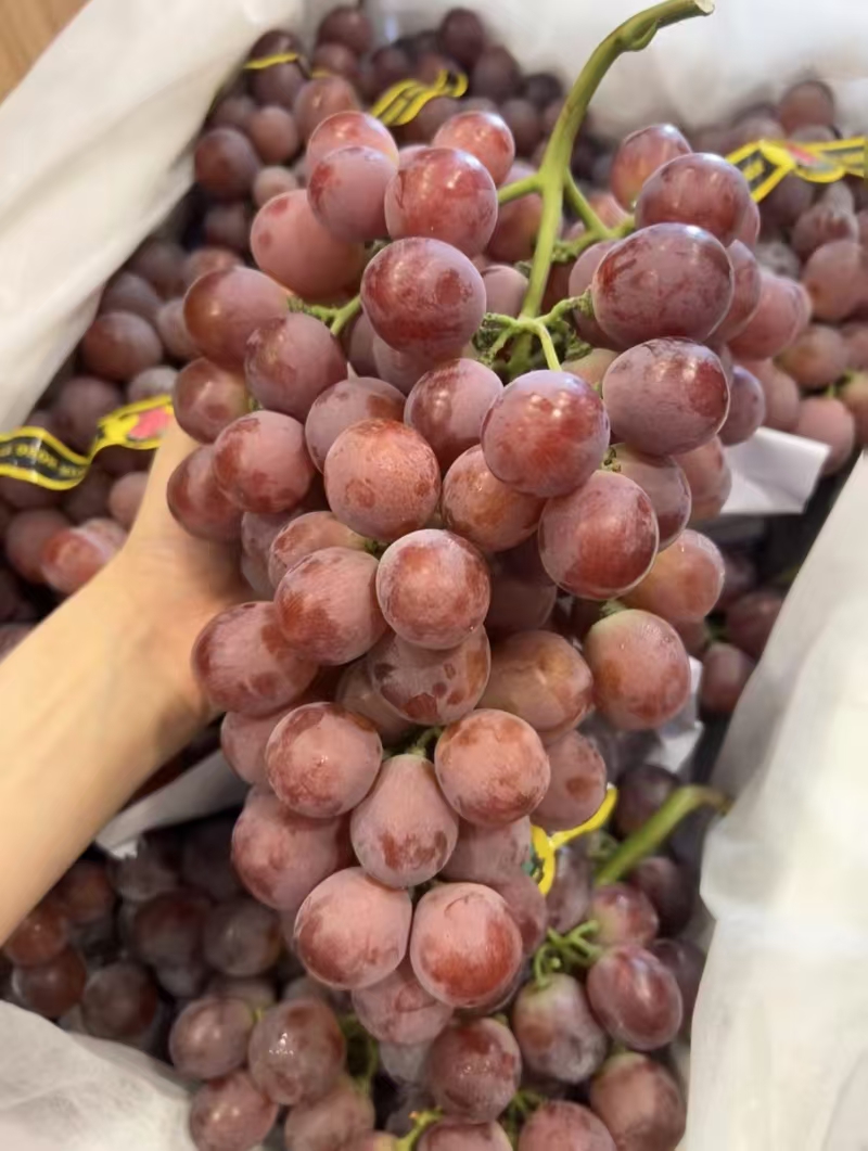 陕西红提 1斤装 半小时到达