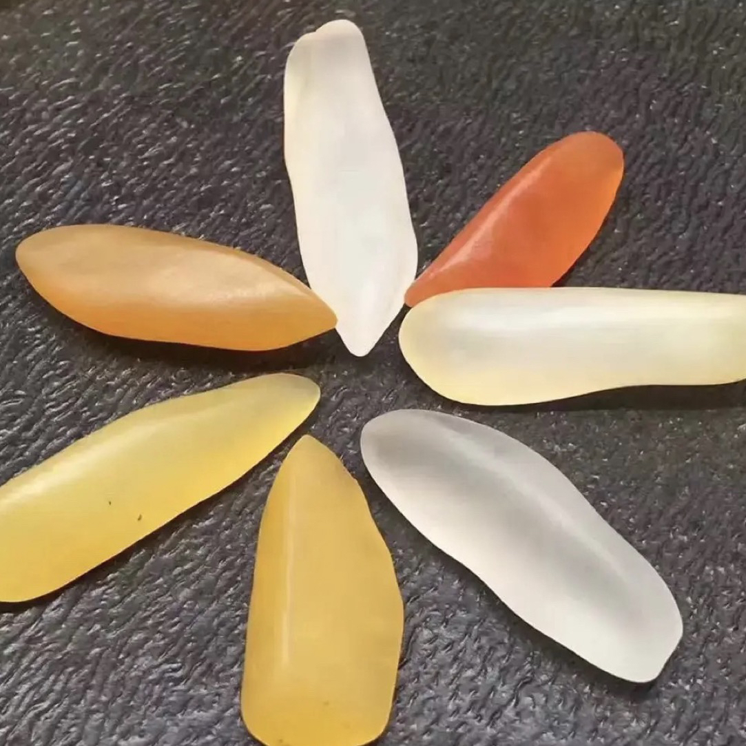 新疆戈壁五彩盆景观赏石