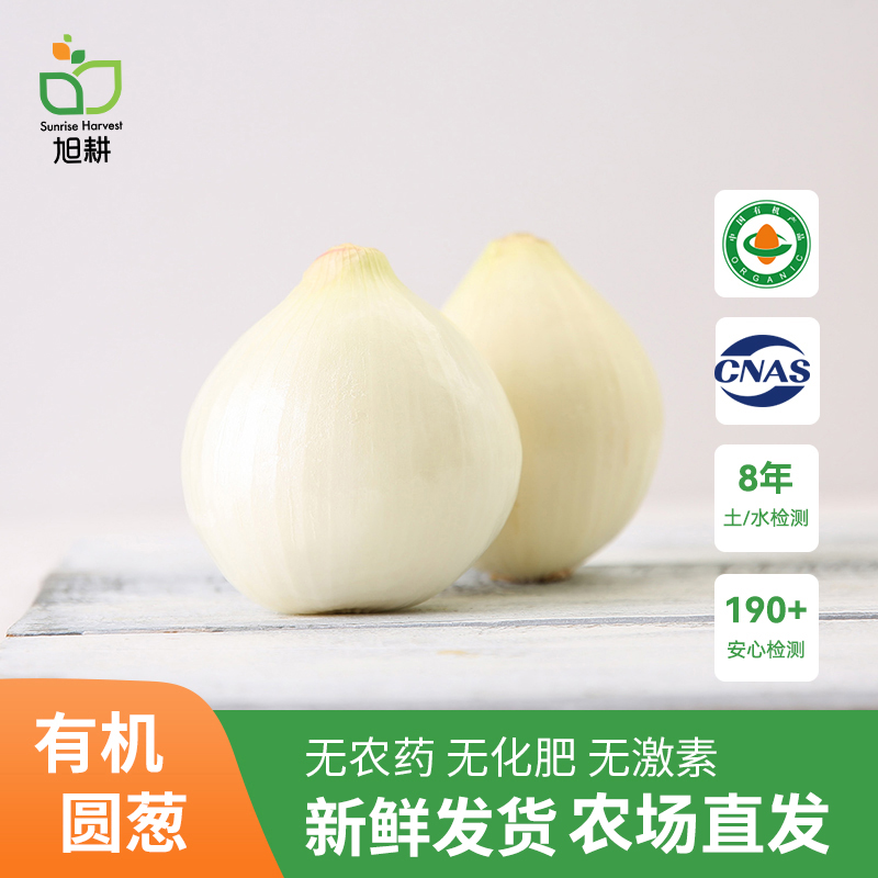 旭耕 有机黄圆葱3/5斤家庭装 黄皮圆葱新鲜现挖生吃脆甜洋葱头