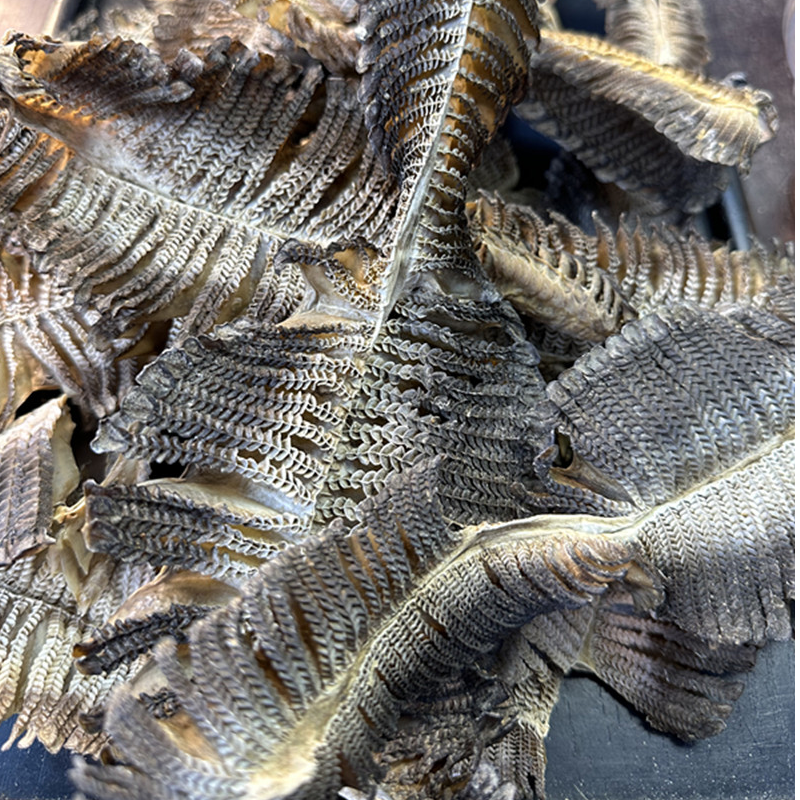 鲜然海味 精选膨鳃 鱼鳃 花鳃 50g 100g  250g