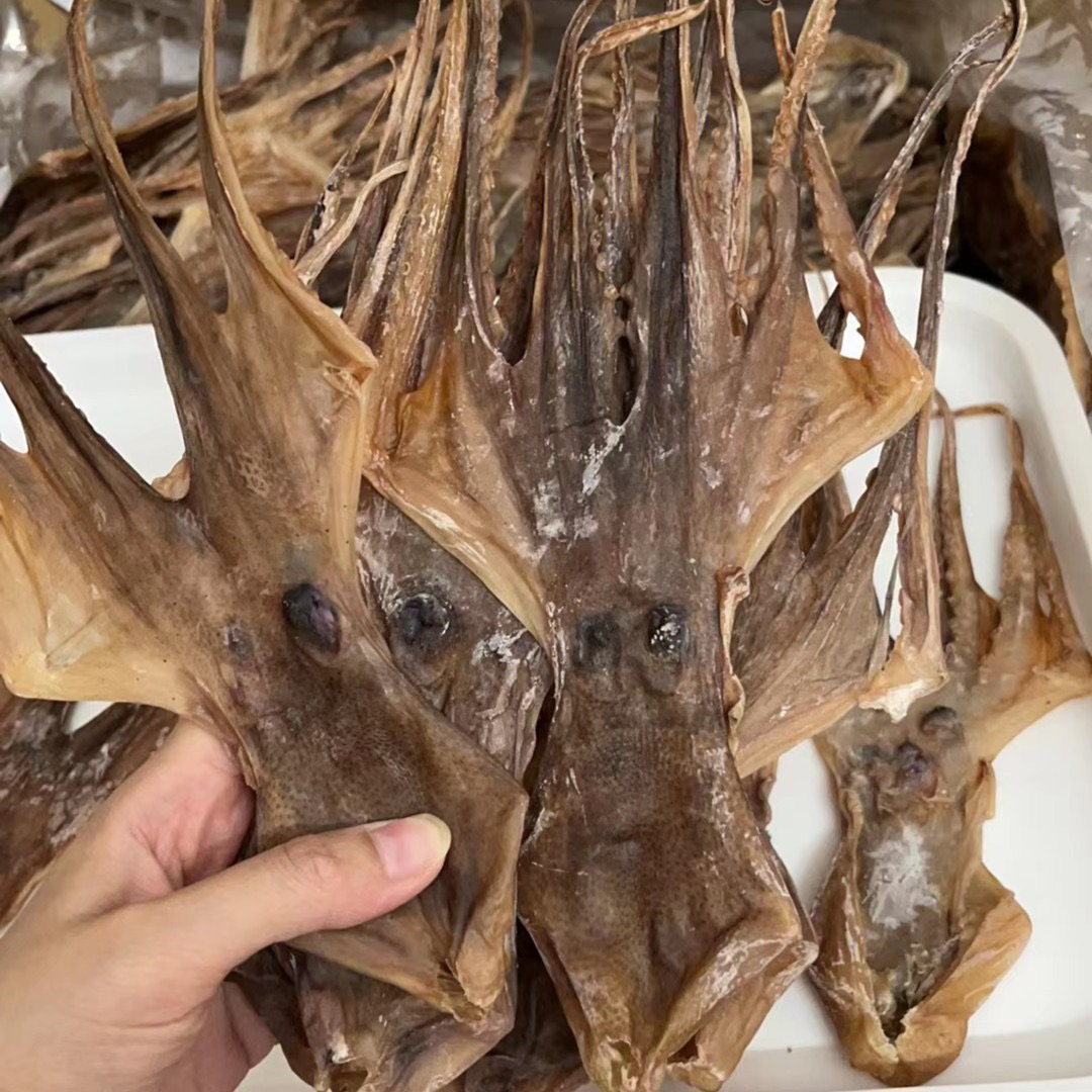 章鱼干大号煲汤炖汤