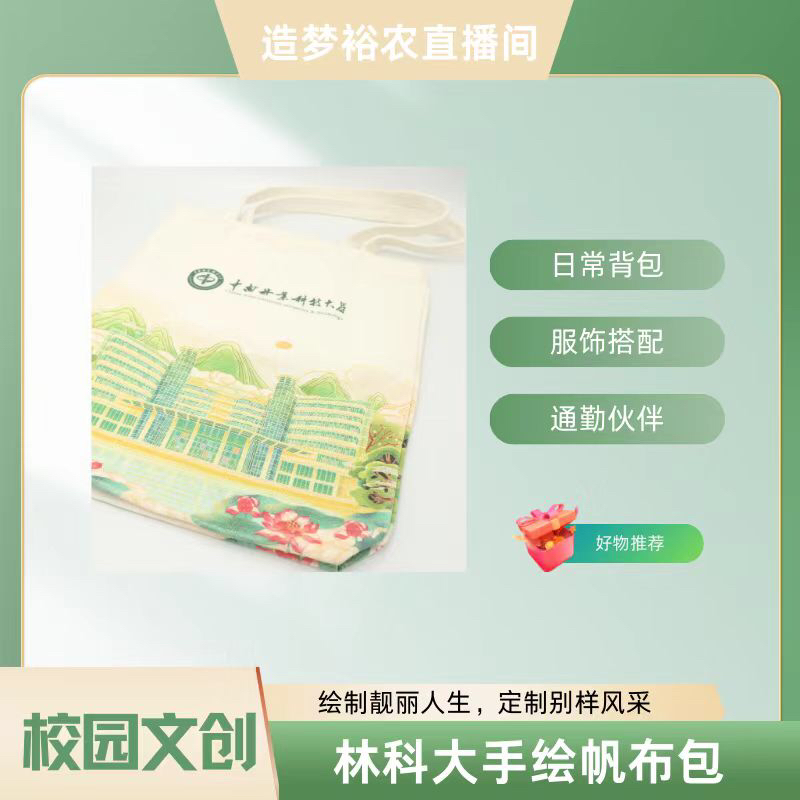 中南林手绘建筑风帆布包