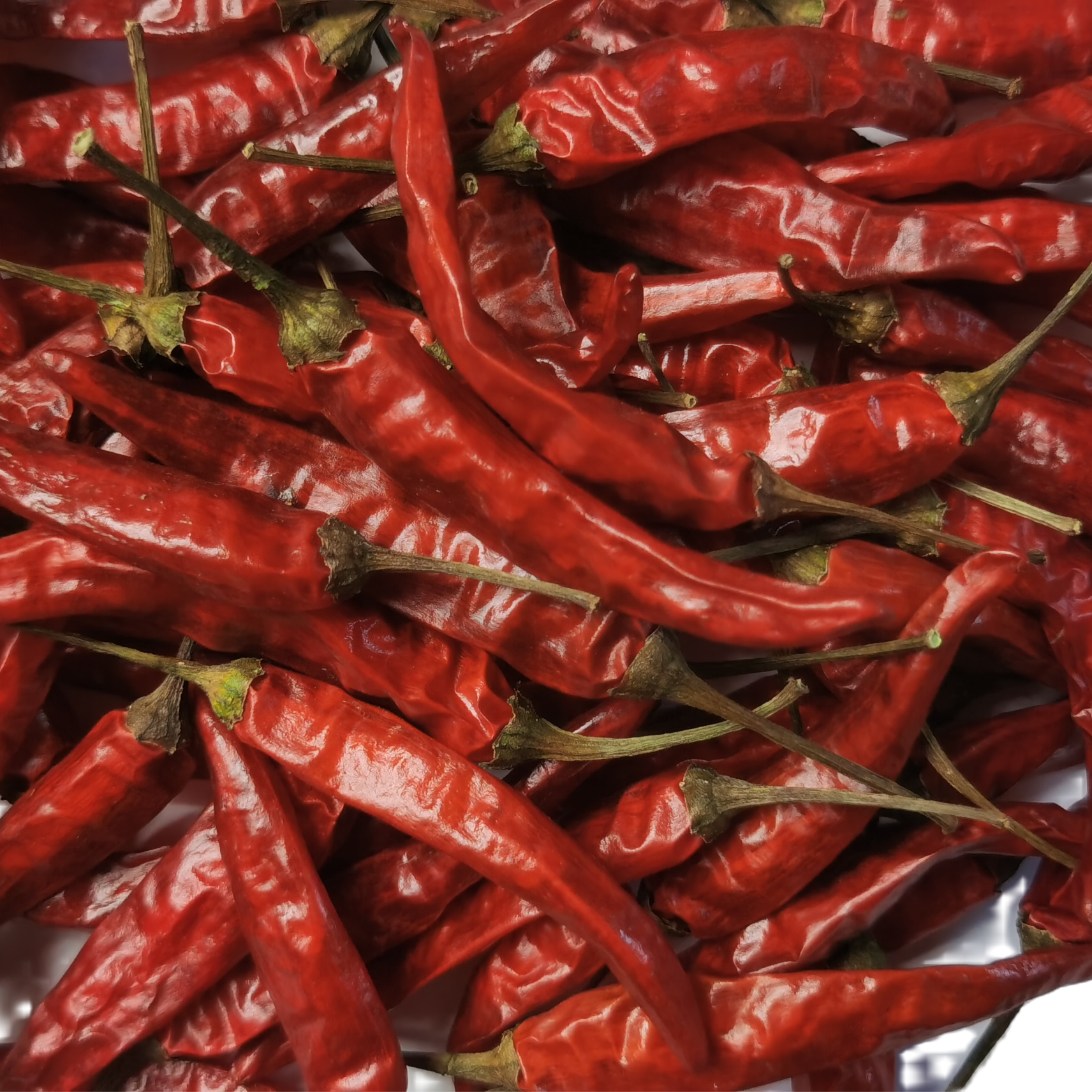 谷城五山干辣椒中辣辣椒100克干辣椒