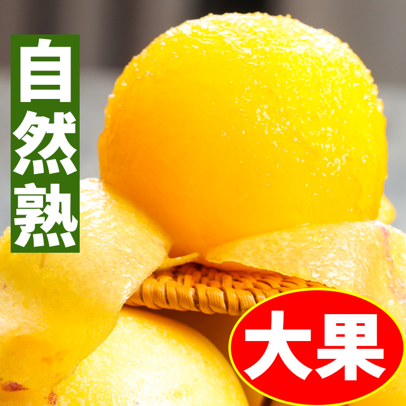【牧阳】云南石林人参果当季新鲜水果大果自然熟果香甜多汁整箱包邮