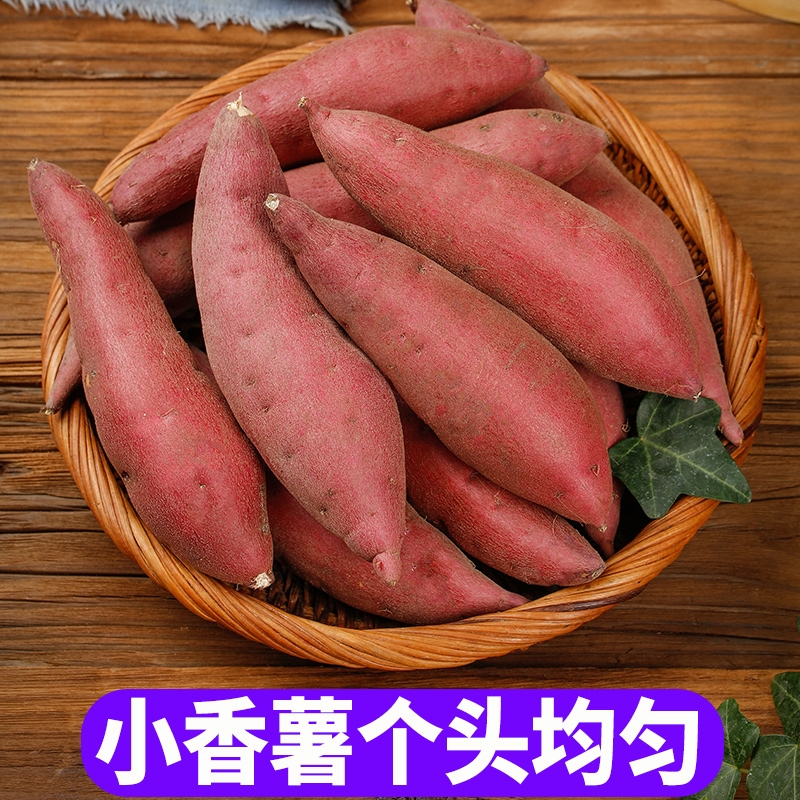 【牧阳】临安天目山小香薯正宗板栗红薯新鲜农家自种地瓜山芋香甜小