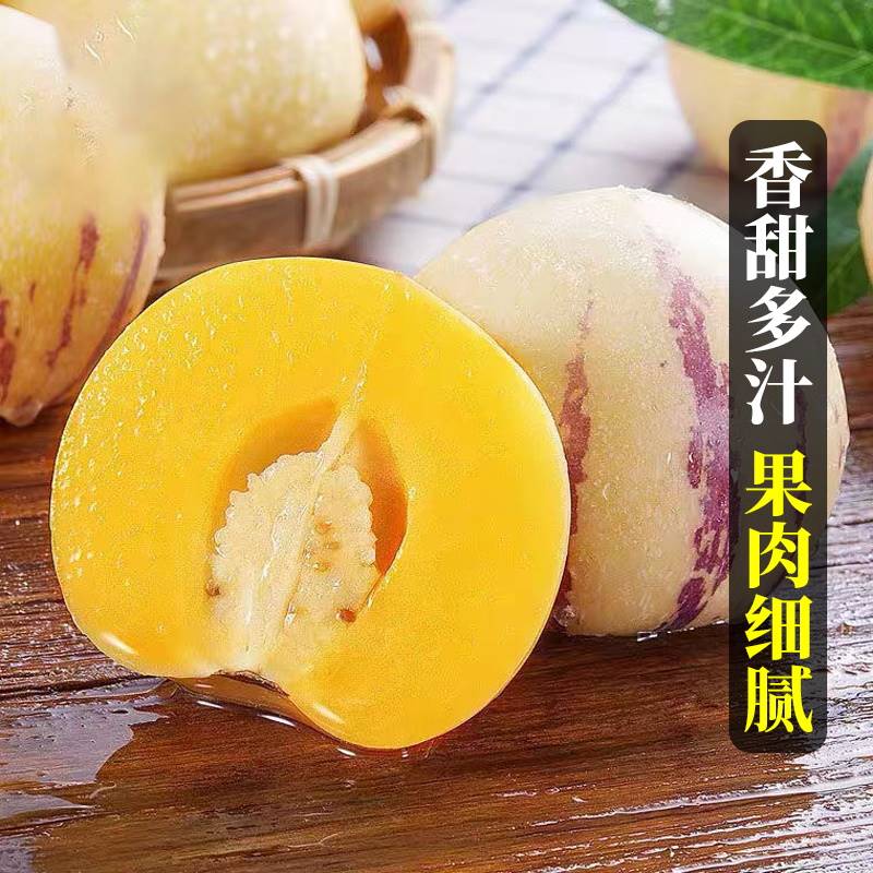 【牧阳】云南石林人参果大果新鲜人叁果水果七彩黄肉圆果人生果包邮