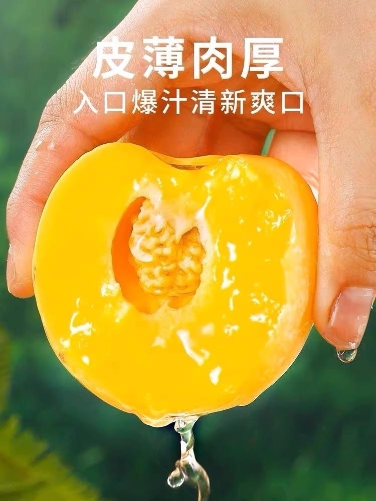【牧阳】云南石林人参果圆果大果人叁人参人生人身果黄肉当季新鲜应