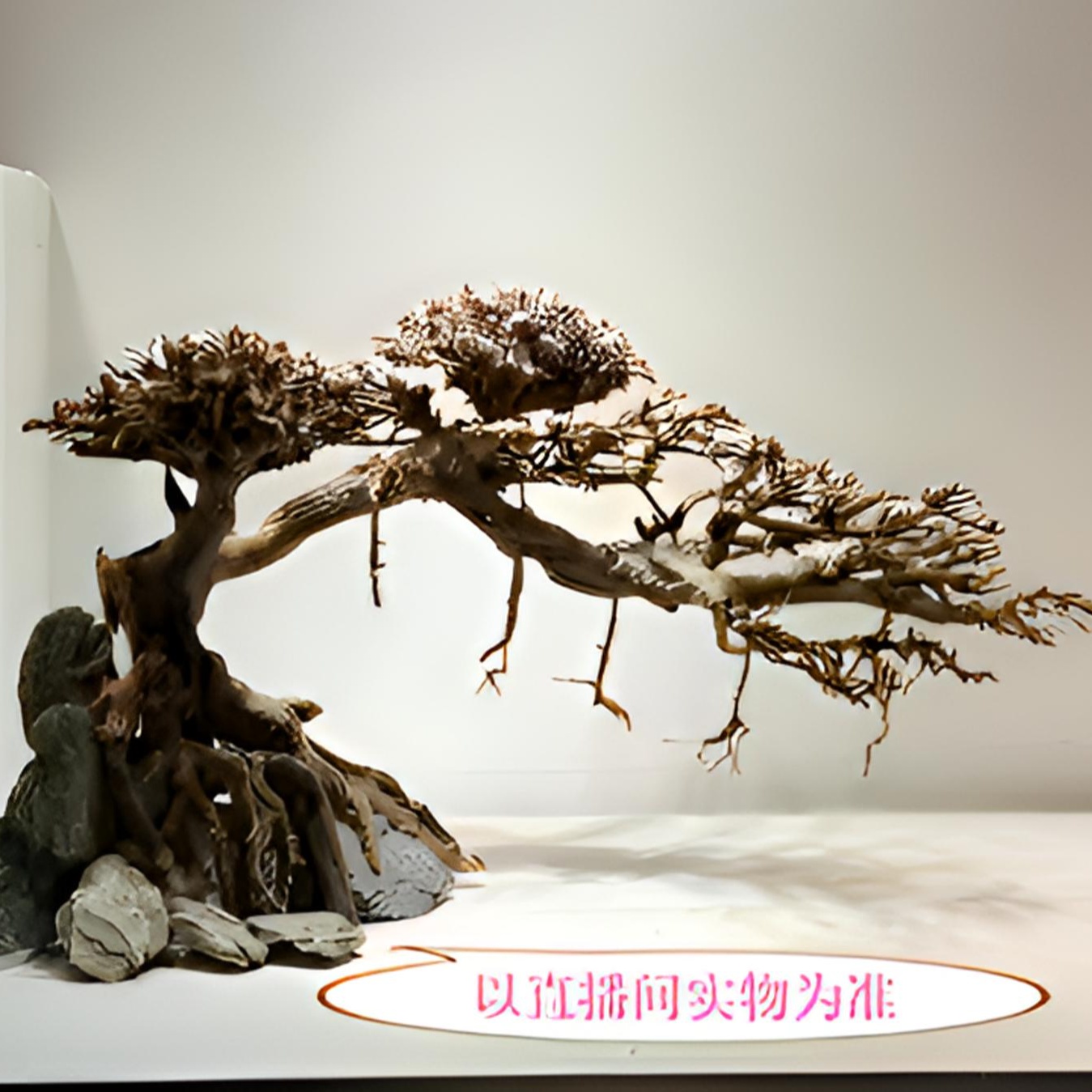 顶峰水族莫斯树骨架定制，一物一拍，直播间看好树再下单，改价用