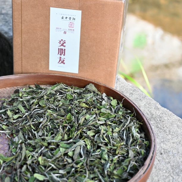 （交朋友白牡丹）宅创白茶2023年春天散茶白牡丹250克