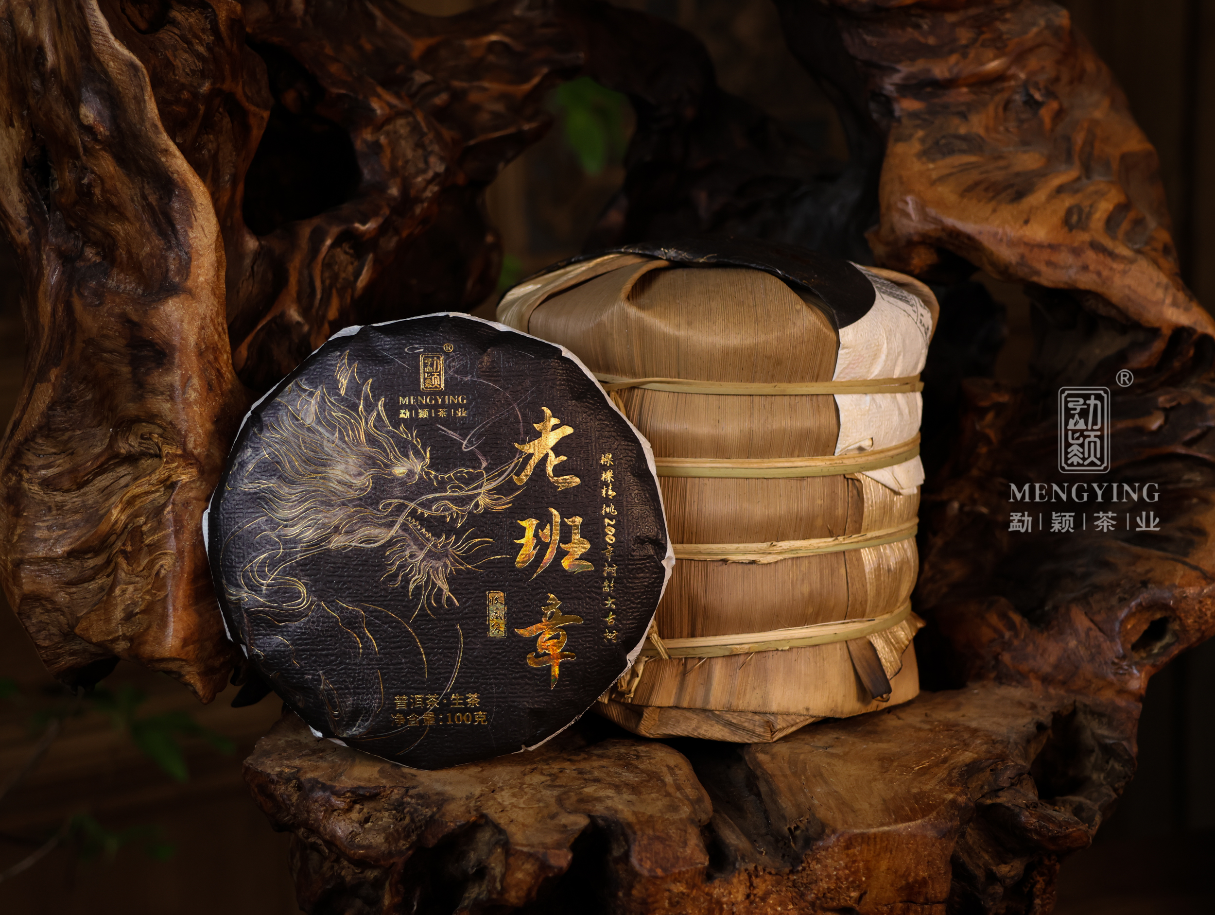 勐颖2024老班章200年古树羽毛种古树生茶头春云南普洱茶生茶100g