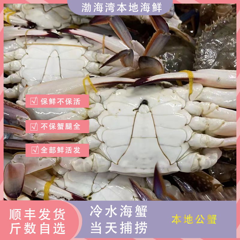 【保鲜不保活】野生海捕大公蟹！2斤起 单只4/7两