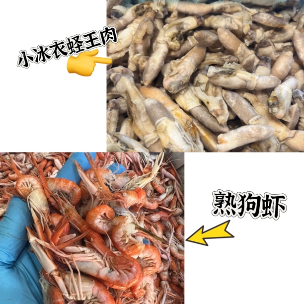 【混搭】蛏王肉2斤+熟狗虾2斤 共4斤