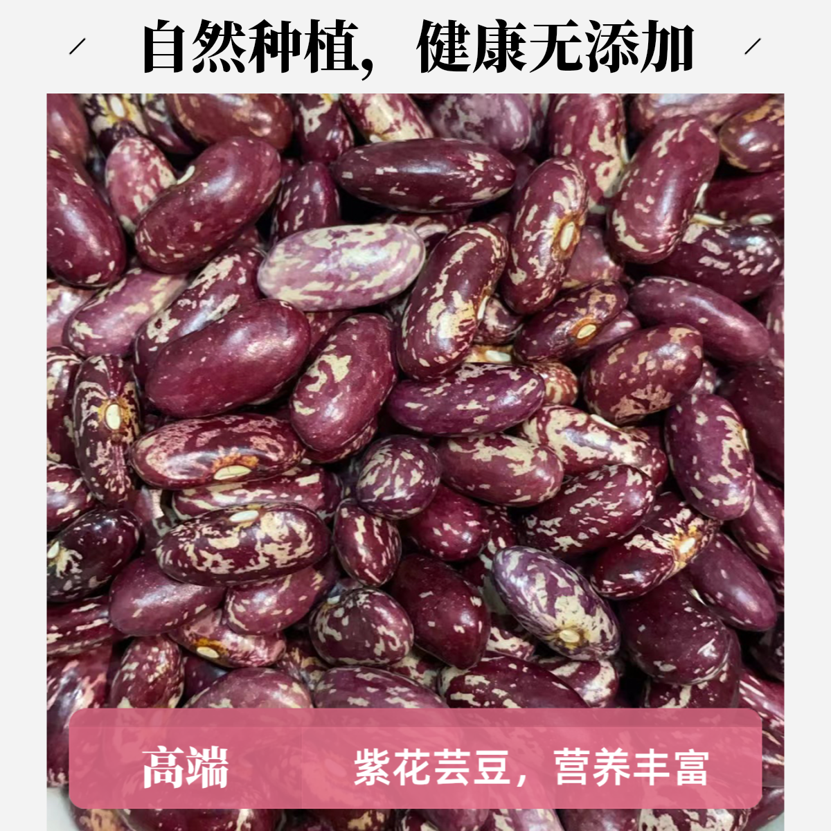 东北农家小园 紫芸豆（5斤）