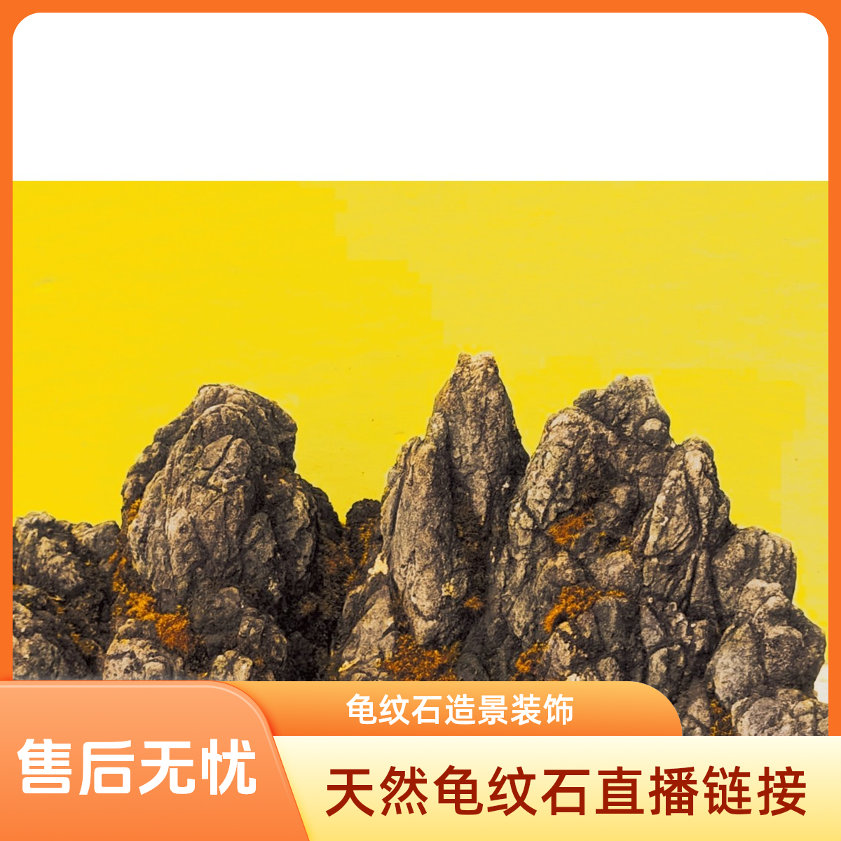 龟纹石鱼缸造景，旱盆，园林，花园园艺组景。