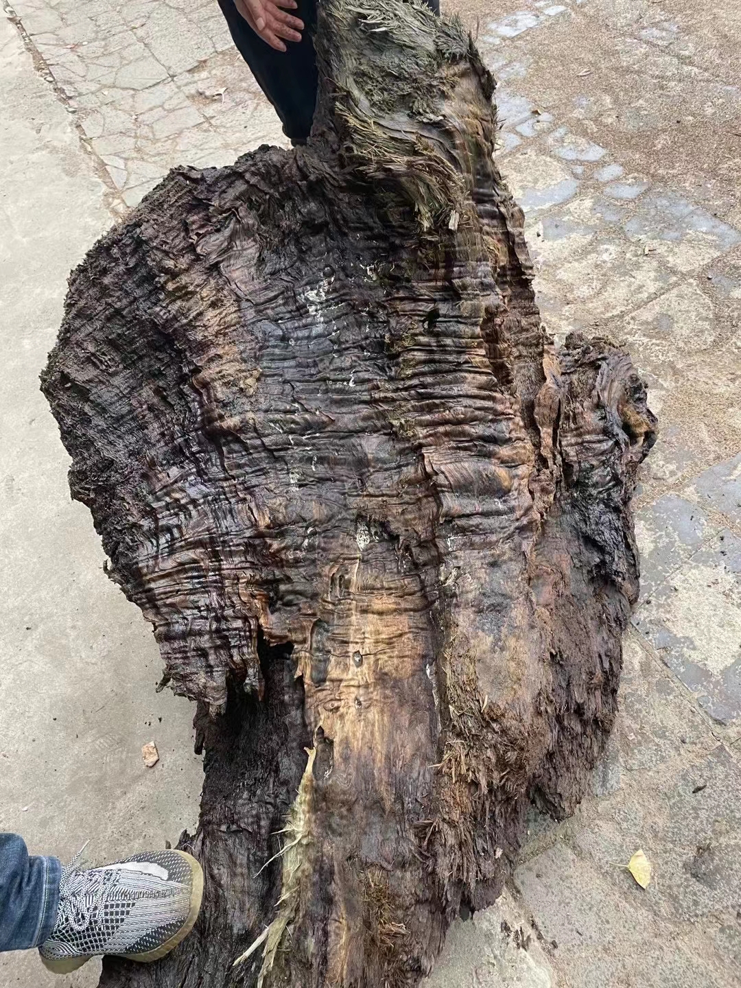 【御木居】金丝楠木原材料雕刻料一物一拍