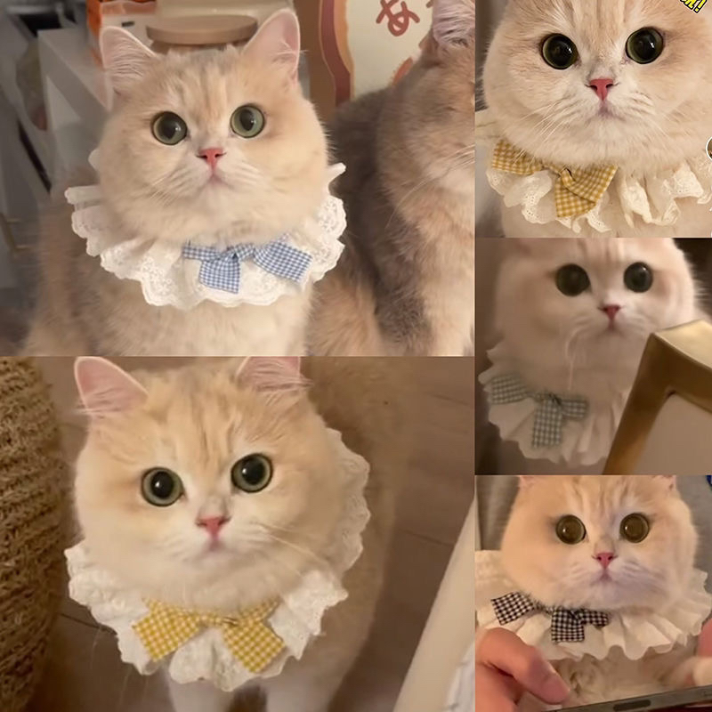 猫咪蕾丝围脖项圈口水宠物蝴蝶结可爱围巾装饰围兜狗狗围嘴饰品