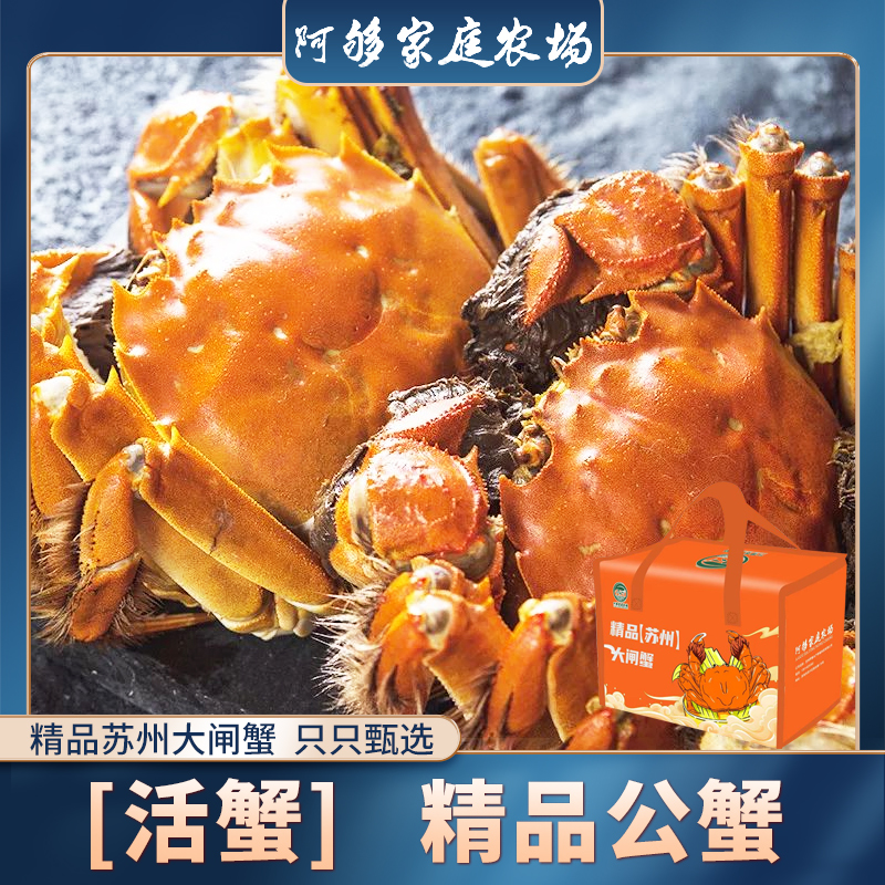 【活蟹】太湖精品大闸蟹 全公蟹4.8-5.1两（8-10只）