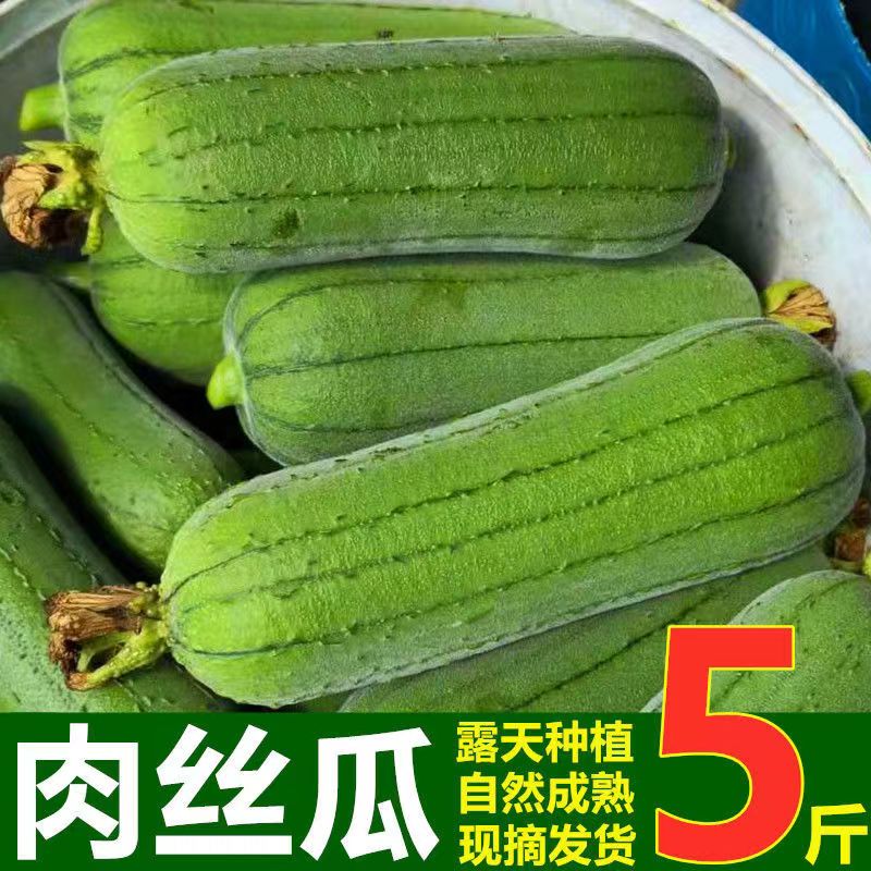 【千凌其志 】台湾翡翠肉丝瓜新鲜现摘2斤农家自种蔬菜应季短香批发