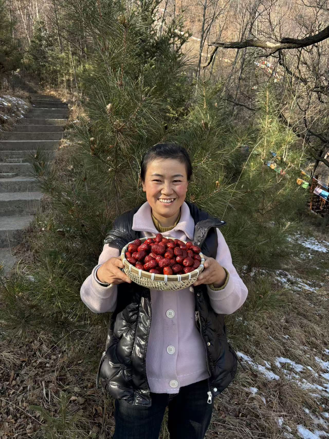 新疆灰枣手工精选保证品质