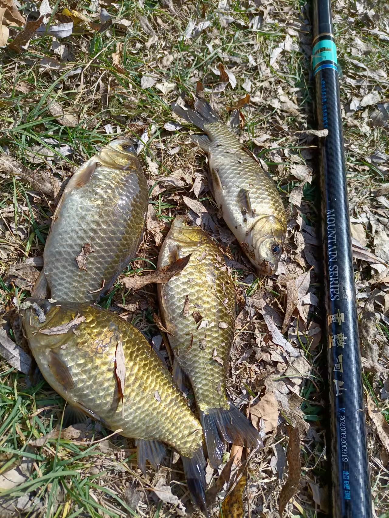 钨头向天钩配套专用竿 重整河山98厘米超轻经典 轻挺直韧飞斤鲫