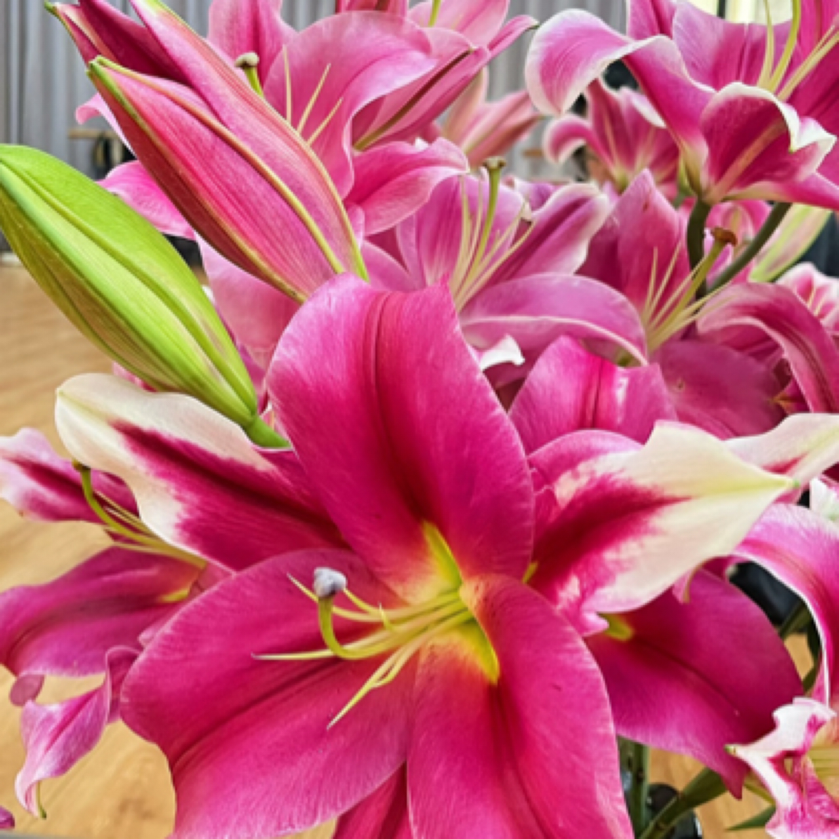 【云南昆明基地源头优选】红福百合鲜花【0°以下请拍保温棉】百合花