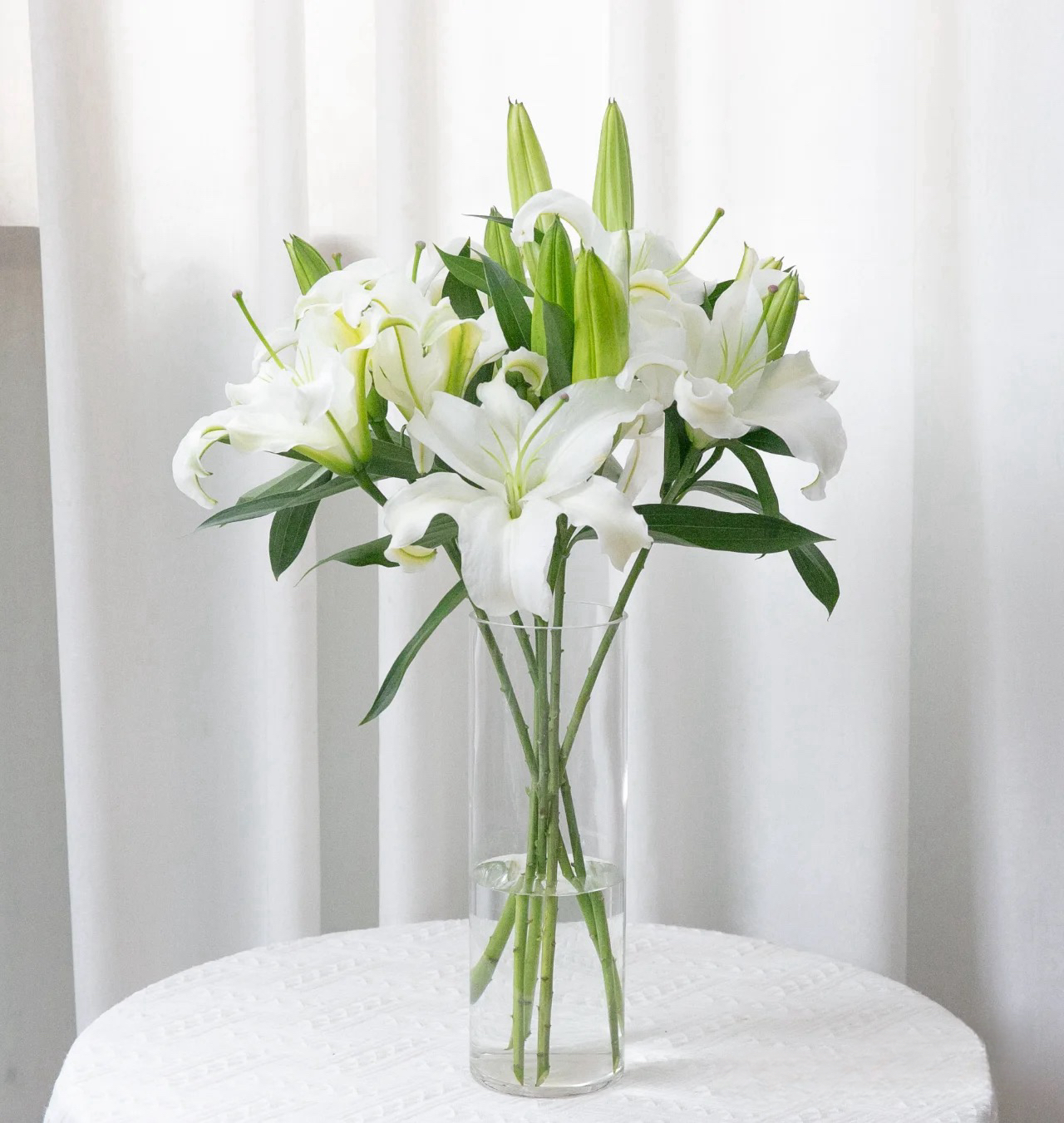 【云南基地源头优选】西伯利亚香水百合【0°以下请拍保温棉】