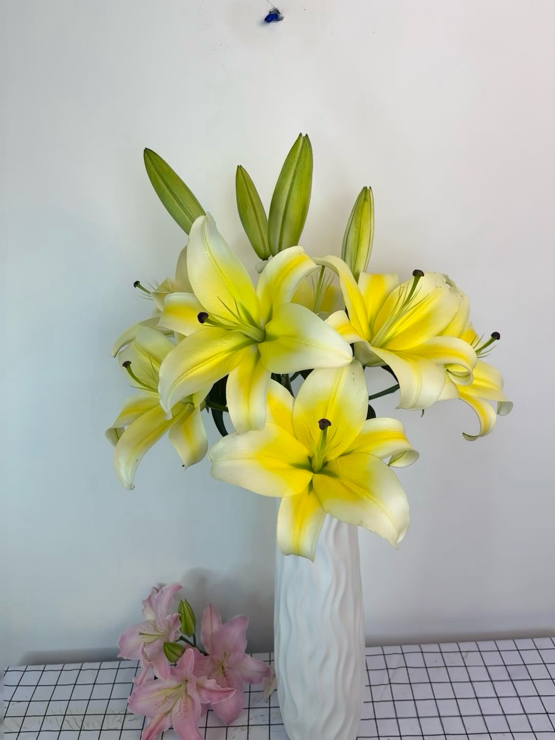 【云南基地源头优选】黄天霸香水百合【0°以下请拍保温棉】