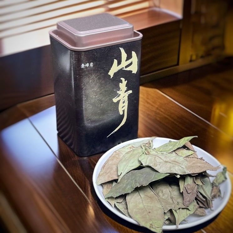 （山青）2024生态茶园五到七米老枞荒野春片冰糖甜福鼎管阳白茶