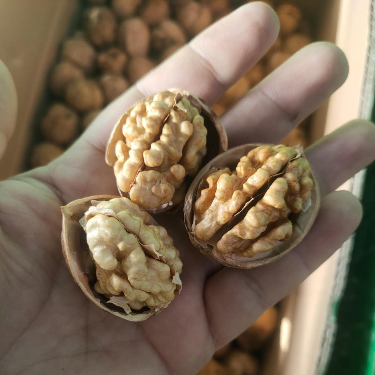 新疆原生态纯手工185纸皮核桃2斤装原产地直发包邮