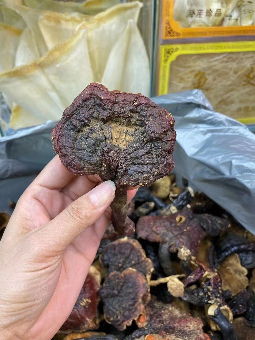 林姑娘特色-西藏野生白心白肉赤
