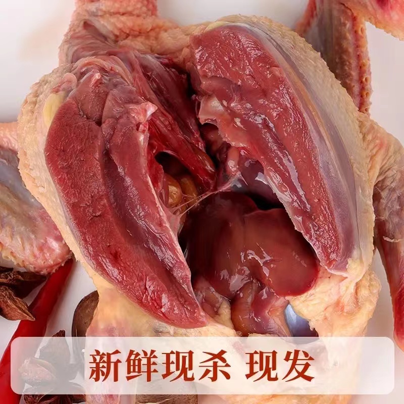 【鸽子粪肥专属】-----拍五只送五只
