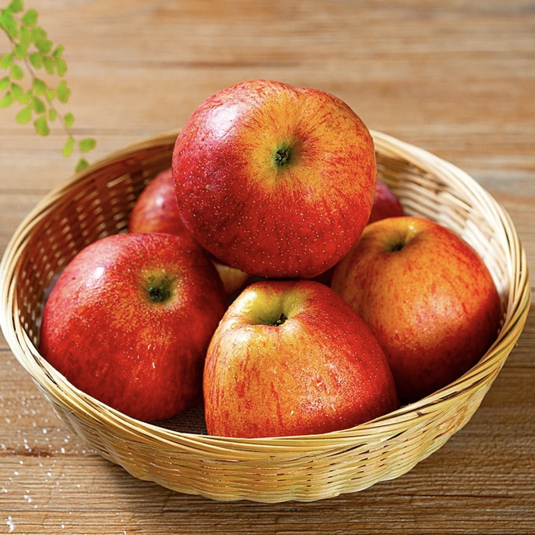 苹果苹果苹果苹果