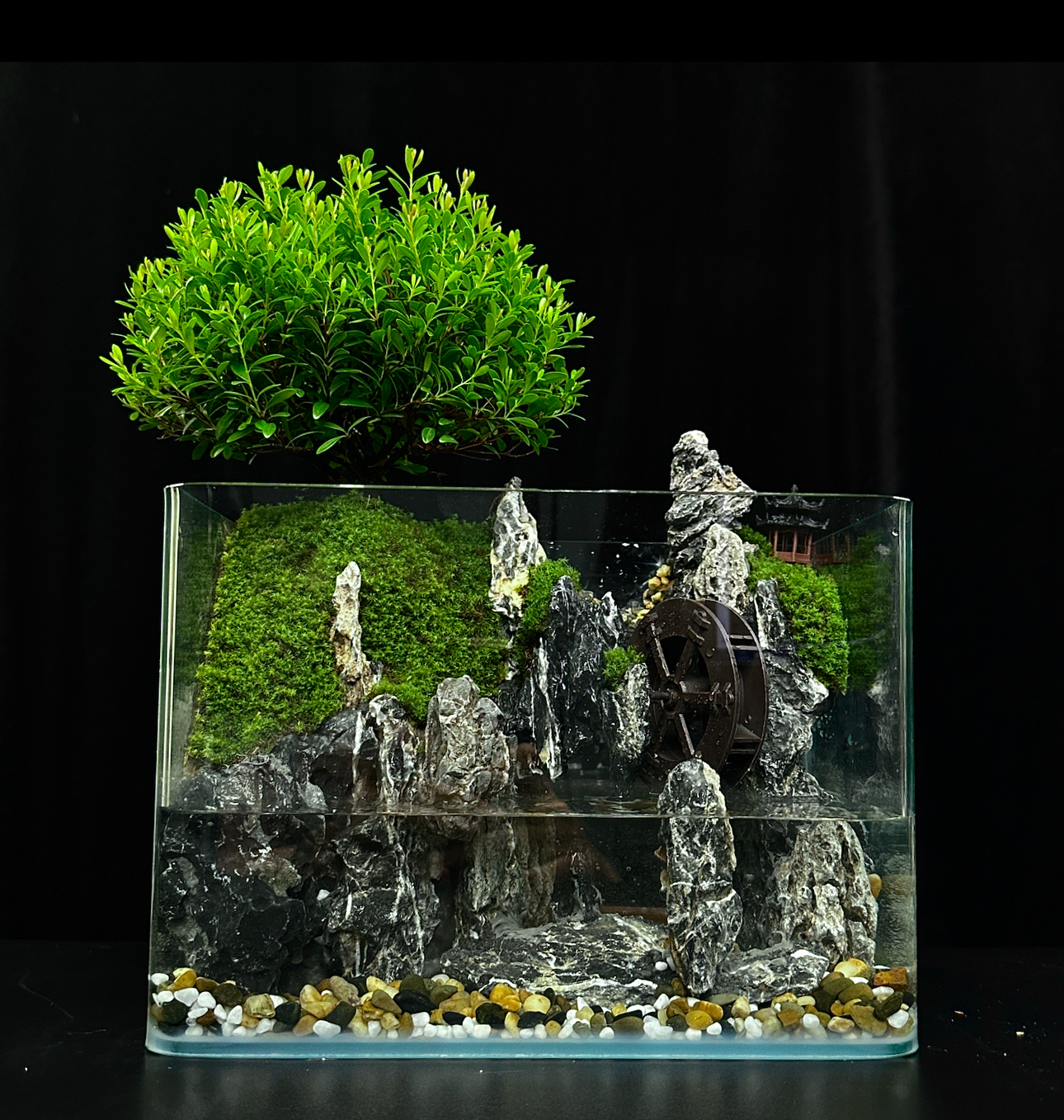 【易专属】渊壑-小叶赤楠成品创意绿植桌面微景观25*16*18cm