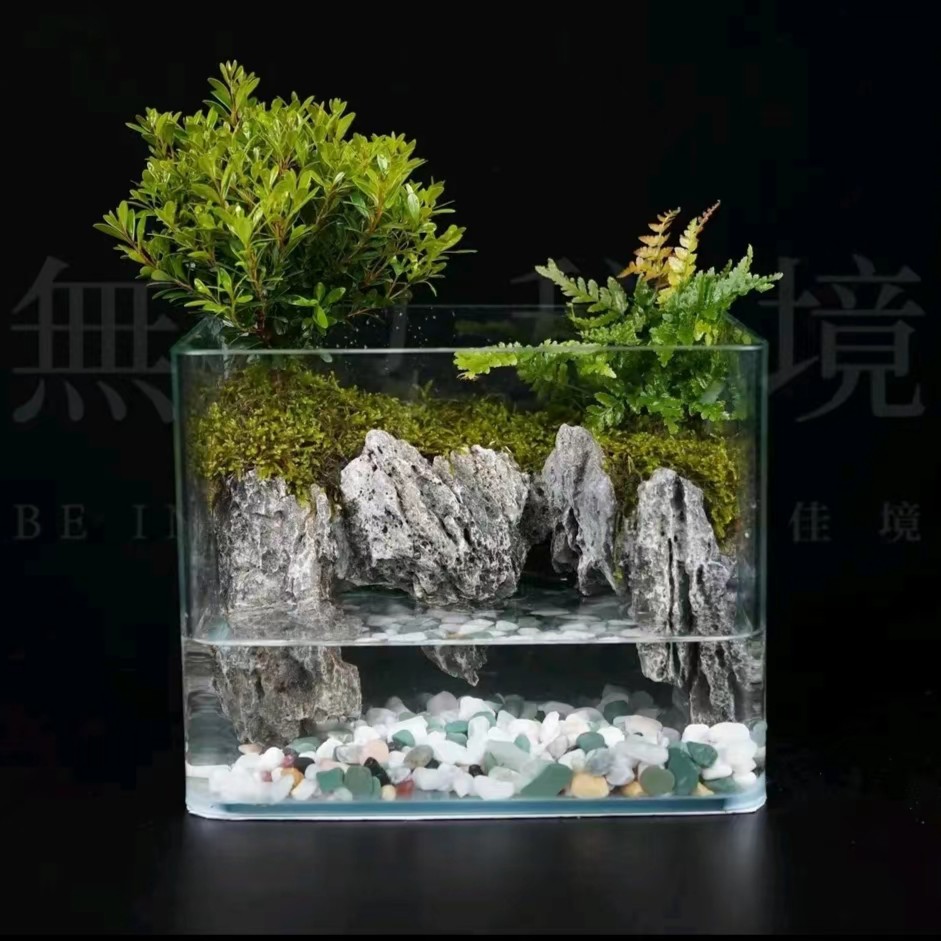 【特惠】云台山上—-小叶赤楠狼尾蕨新中式成品景观尺寸20*14*16