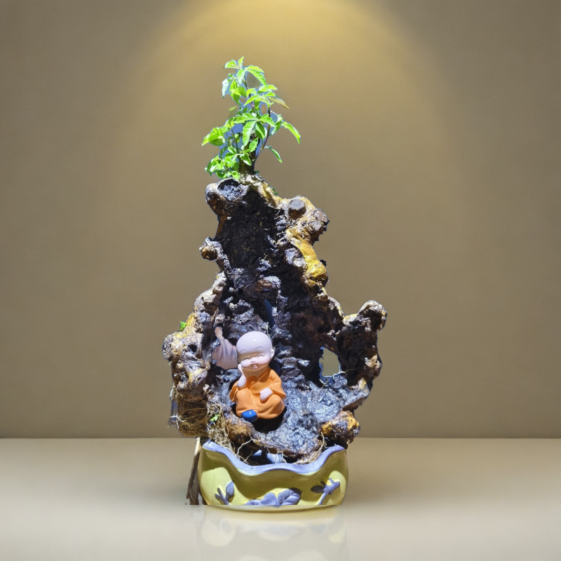 直播一物一拍 黄荆盆景老桩造型观景河沙土培黄荆老桩精品盆栽