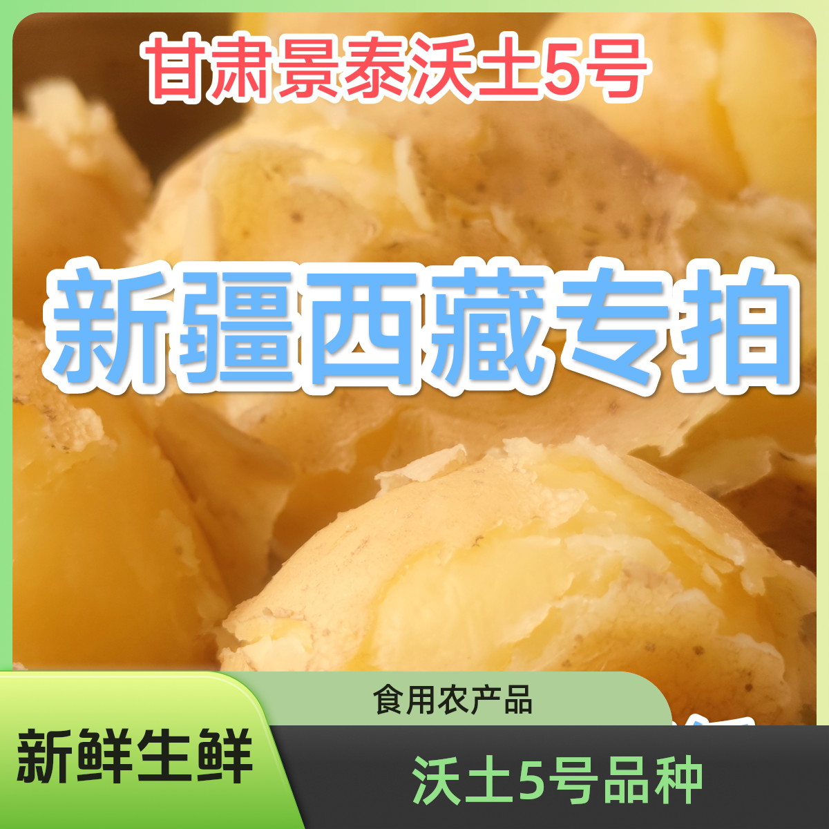 甘肃景泰土豆马铃薯洋芋新疆西藏专拍